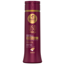SHAMPOO LISO C FORCA 300ML - HASKELL